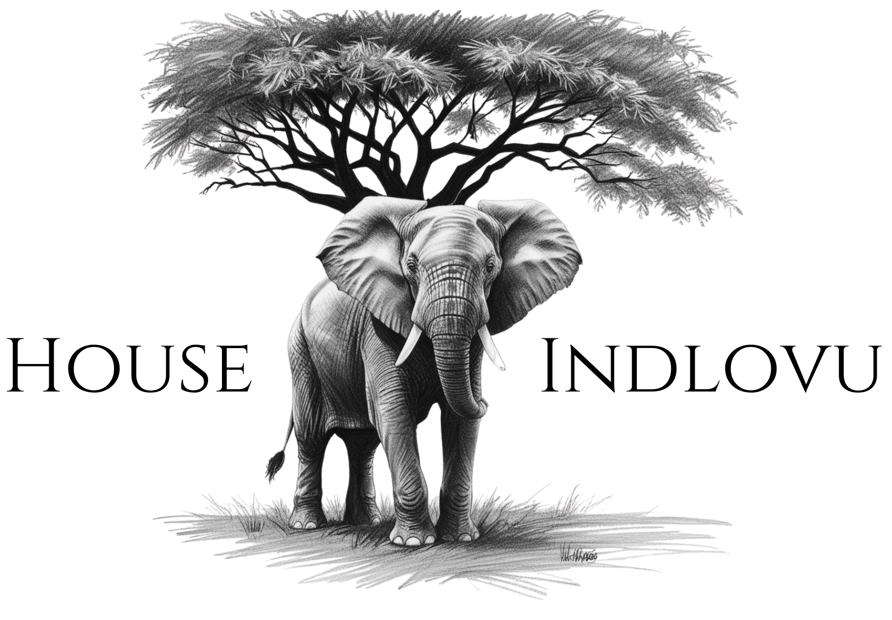 House Indlovu - Luxury accommodation in Vermont, Hermanus